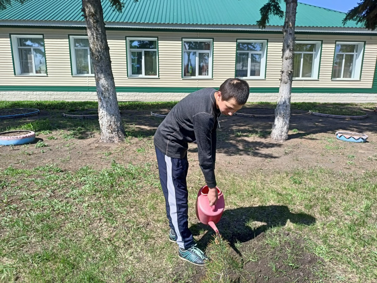 День Эколят.
